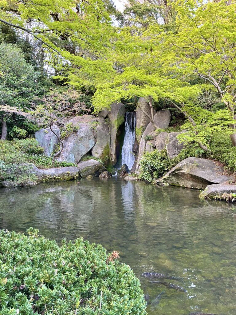 浜松城公園