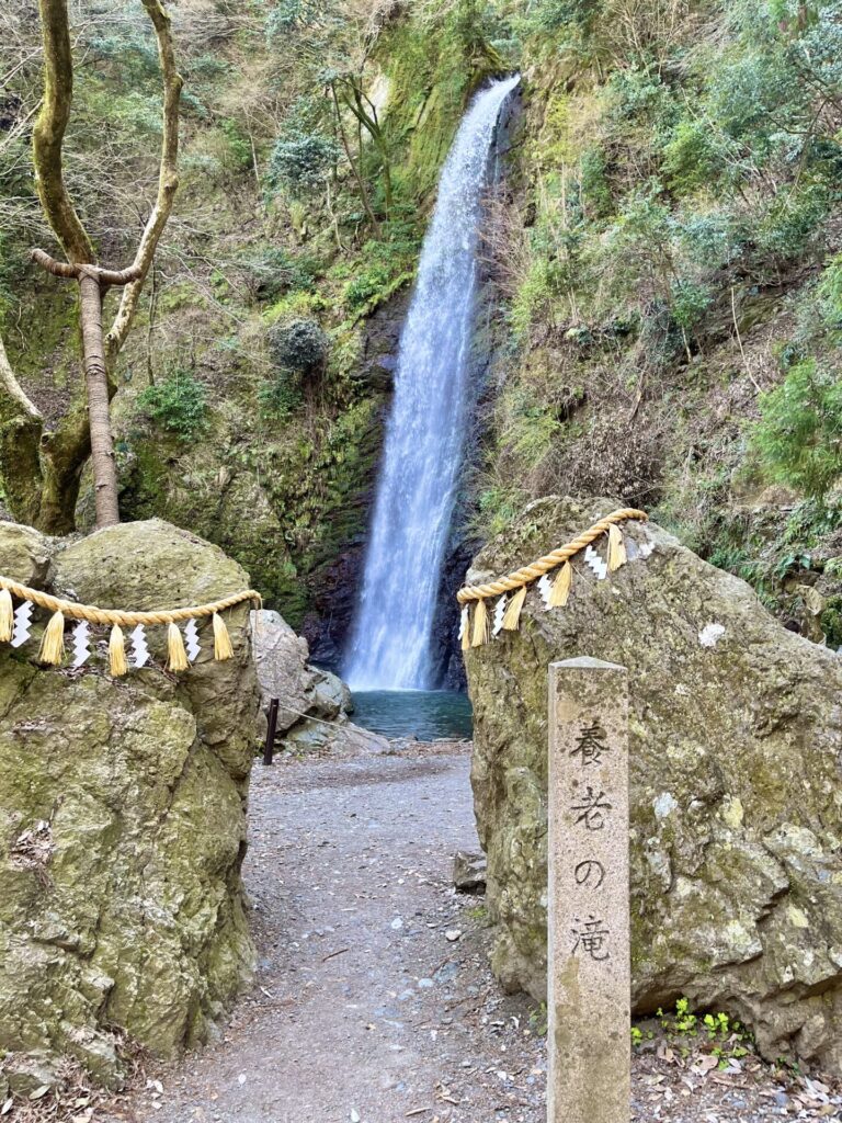 養老の滝