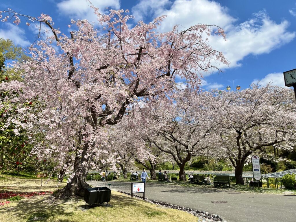 はままつフラワーパーク