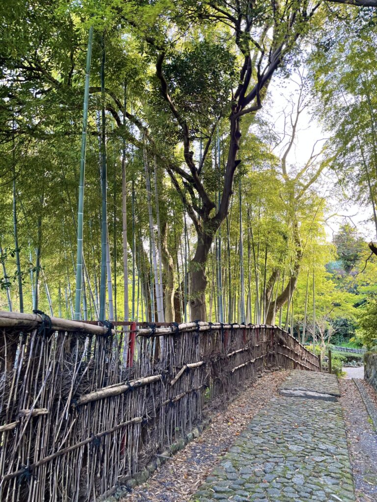 浜松城公園