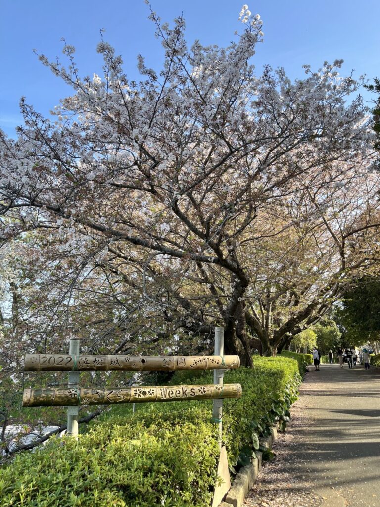 浜松城公園