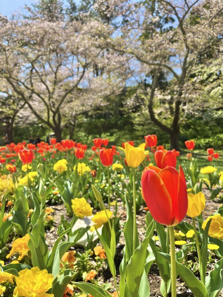 はままつフラワーパーク